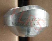 Alın Kaynaklı Çıkış Boru Ek Parçaları MSS SP97 Bütünleşik Olarak Güçlendirilmiş Dövme Paslanmaz Çelik A182 F316L
