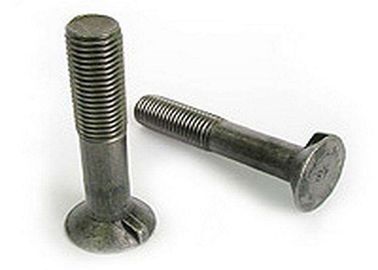 satın al Köprüler / Tüneller Projesi için Nibbed CS SS Havşa Başlı Cıvata online manufacture